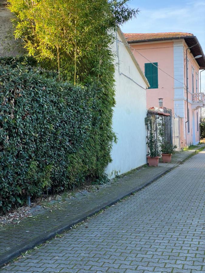 Biscuit B&B Pisa Exteriör bild